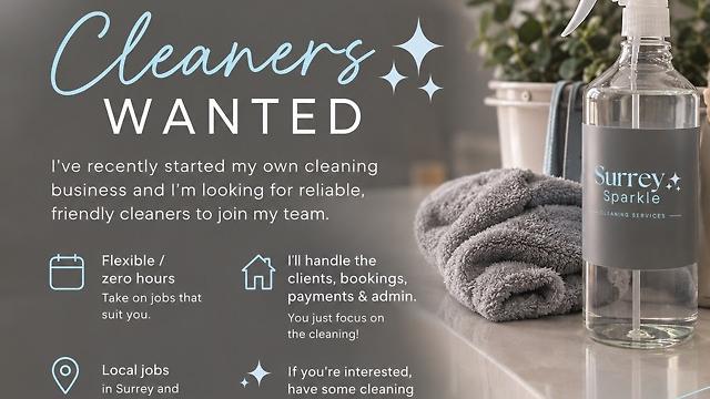 Cleaner