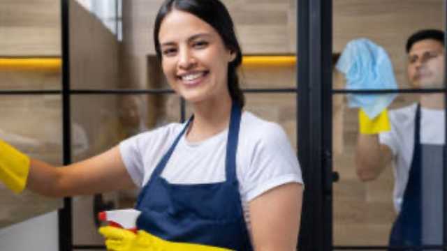Domestic Cleaner