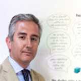 Domingo R. avatar icon