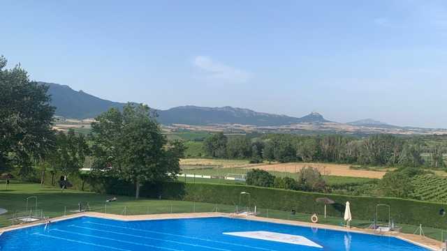 Lanera