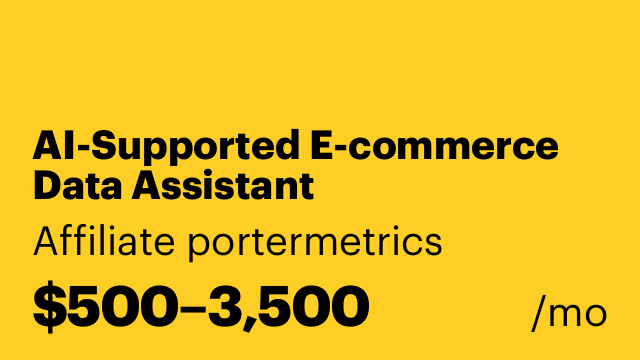 AI-Supported E-commerce Data Assistant