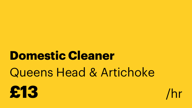 Domestic Cleaner