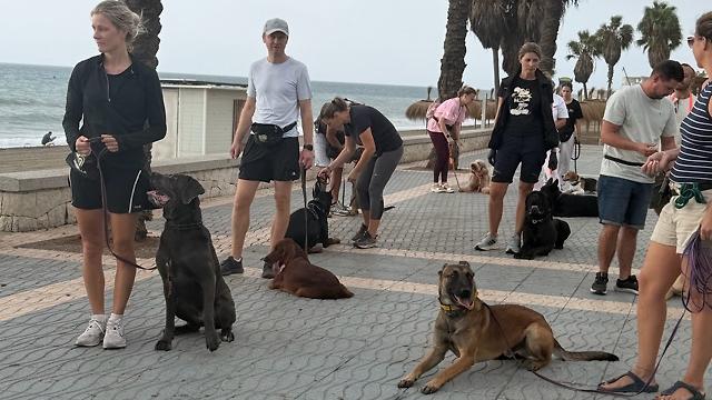Educador canino