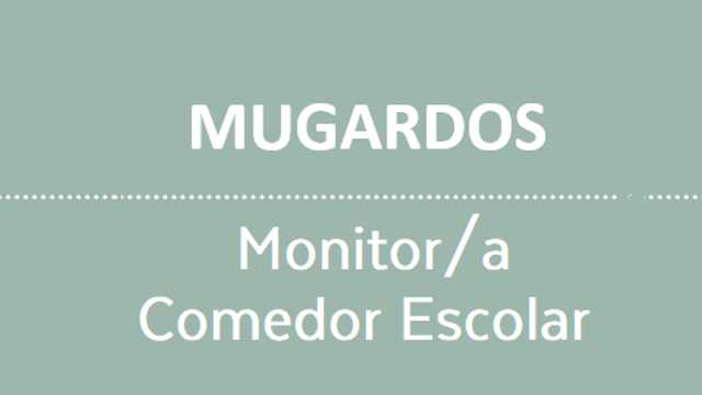 Monitor/a comedor escolar