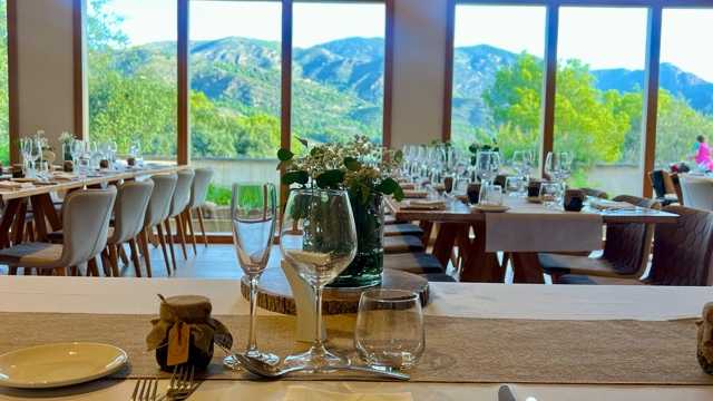 Ayudante/a de Recepción