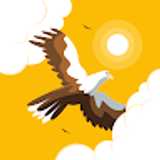 Eli P. avatar icon