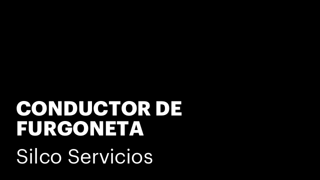 CONDUCTOR DE FURGONETA