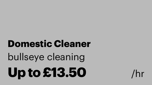 Domestic Cleaner