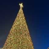 Amanda G. avatar icon