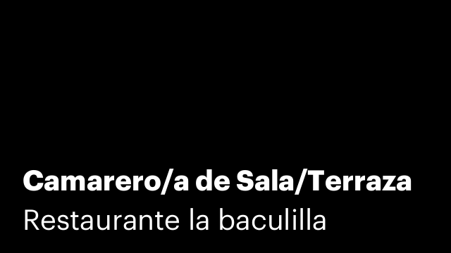 Camarero/a de Sala/Terraza