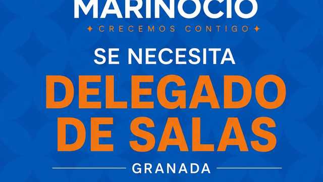Coordinador/a