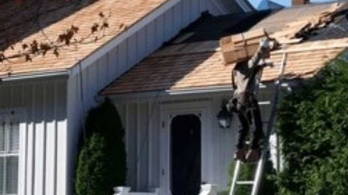 Pequeños en prendedores cover image