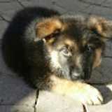 Fernando G. avatar icon