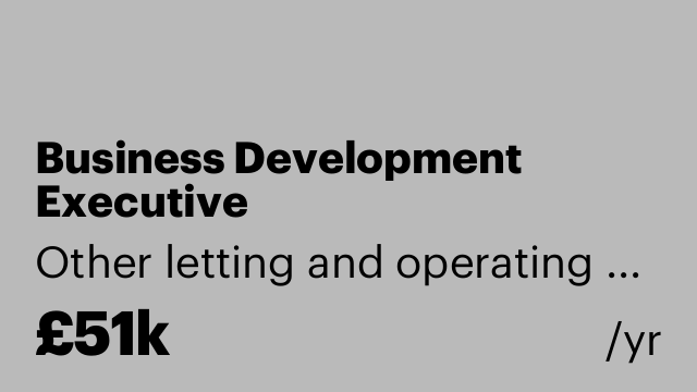 Business Development Executive