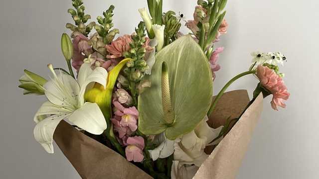 Oficial Florista