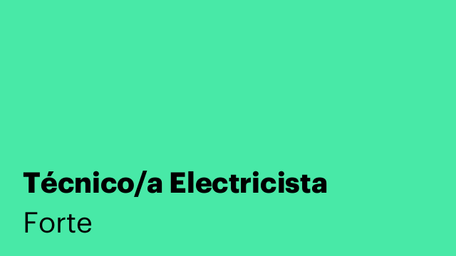 Técnico/a Electricista