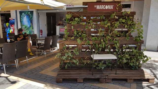 Ayudante de Camarero/a