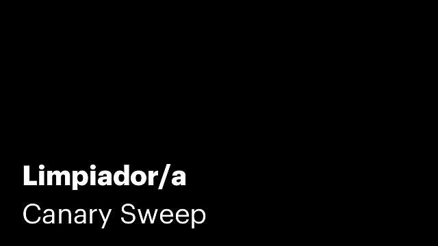 Limpiador/a