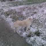 Christian M. avatar icon