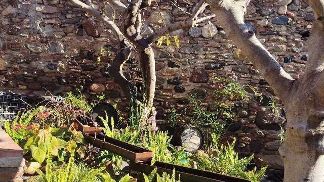 Camarero/a de Sala/Terraza