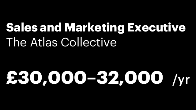 Sales and Marketing Executive