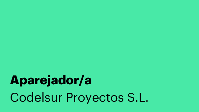 Aparejador/a