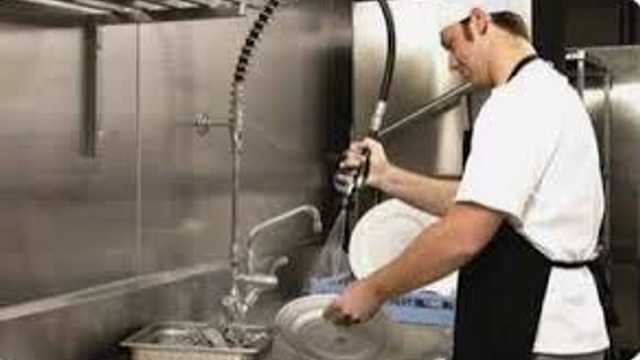 Ayudante/a de Cocina y Friegaplatos