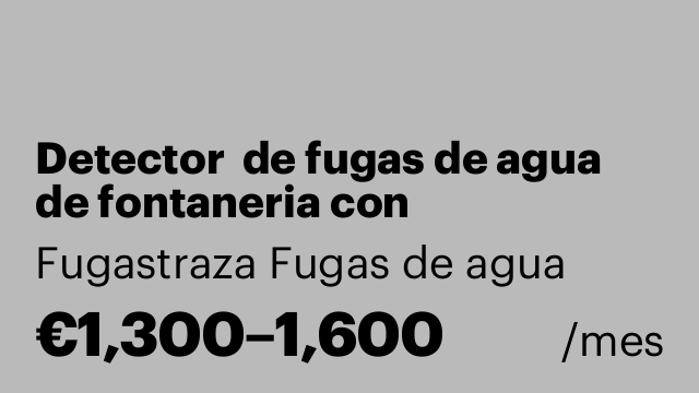 Detector  de fugas de agua de fontaneria con experiencia.