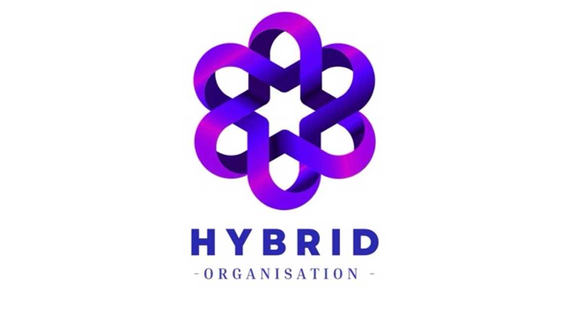The Hybrid Organisation cover image