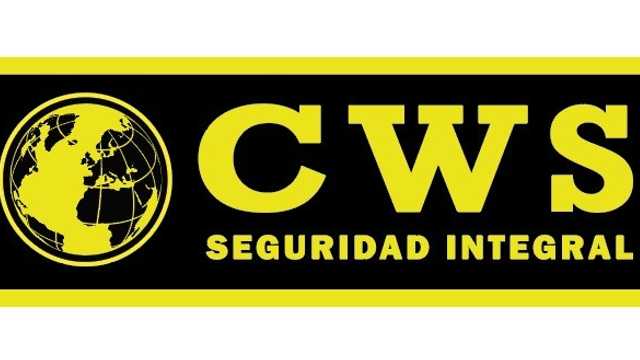 Vigilante de Seguridad