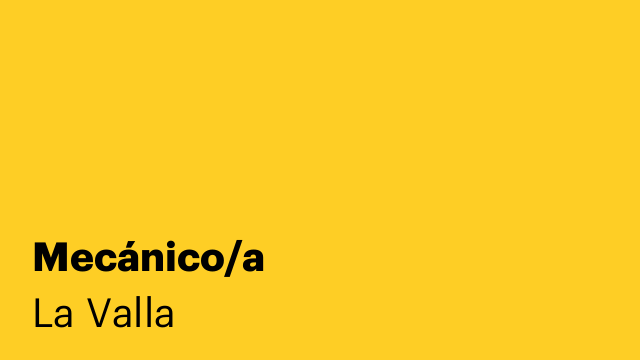 Mecánico/a