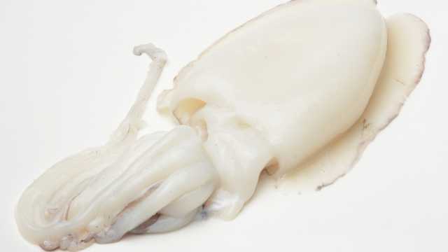 Repartidor camarista