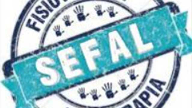 Fisioterapeuta