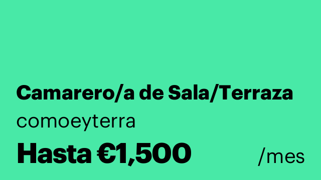 Camarero/a de Sala/Terraza