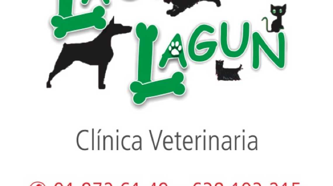 LAU LAGUN  cover image