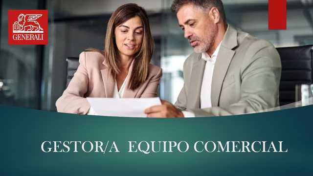 GESTOR  JEFE EQUIPO COMERCIAL