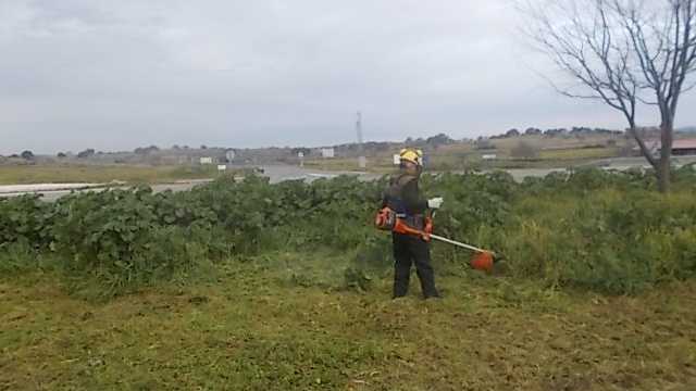 Técnico de control de plagas y desbrozador en VALENCIA