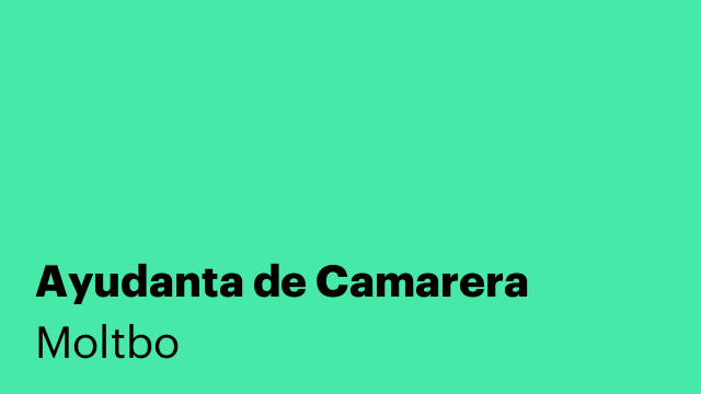 Ayudanta de Camarera