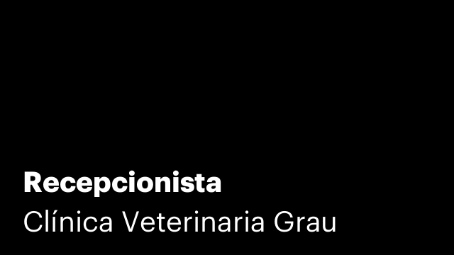 Recepcionista