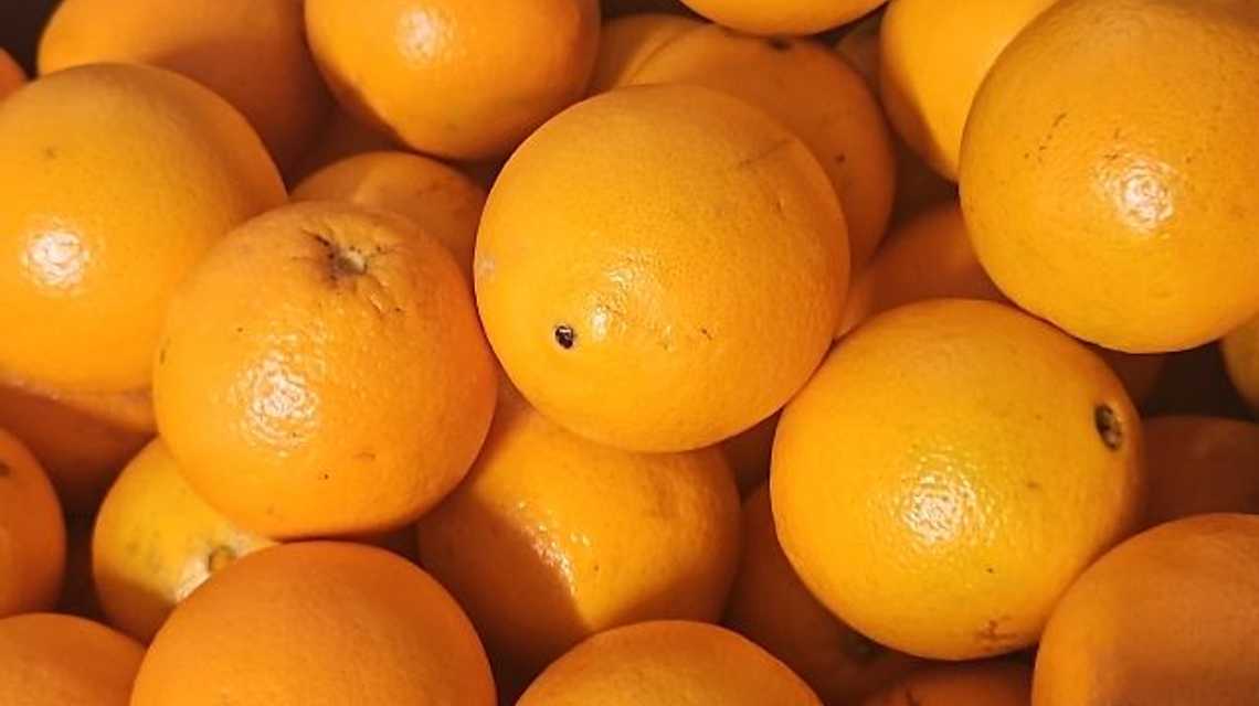 Fruites i Verdures Cabarrocas S.L cover image