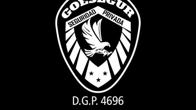 Vigilante de Seguridad