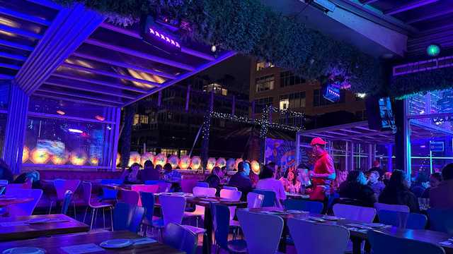 Host and Waiter / Waitress