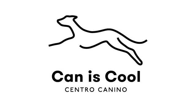 Adiestrador canino
