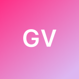 Gerzon  Velastegui  avatar icon