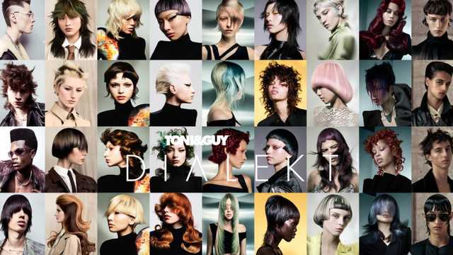 BUSCAMOS PERSONAS PARA TRABAJOS DE CORTE Y COLOR