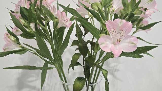 Recepcionista peluqueria