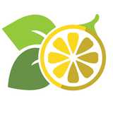 Lemon Tree Hair Salons logo