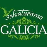 Roberto Carlos M. avatar icon