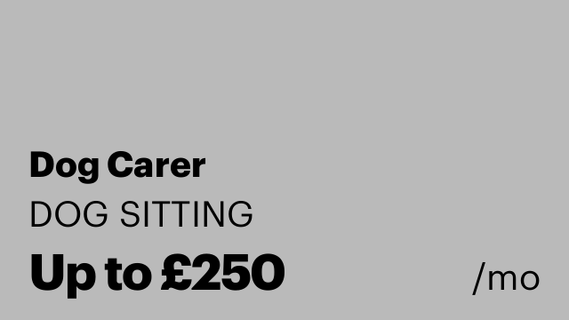 Dog Carer