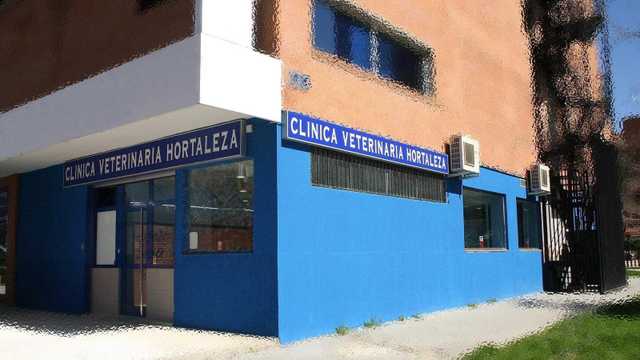 Veterinario/a